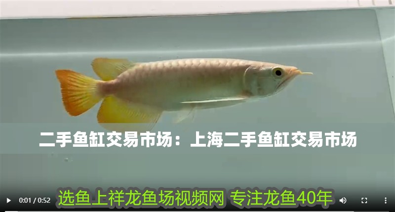 二手魚缸交易市場：<strong><mark>上海</mark></strong>二手魚缸交易市場