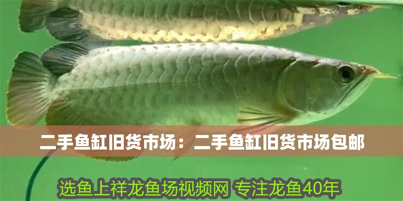 二手魚缸舊貨市場：二手魚缸舊貨市場包郵 二手魚缸舊貨市場：二手魚缸舊貨市場包郵 龍魚百科 第2張