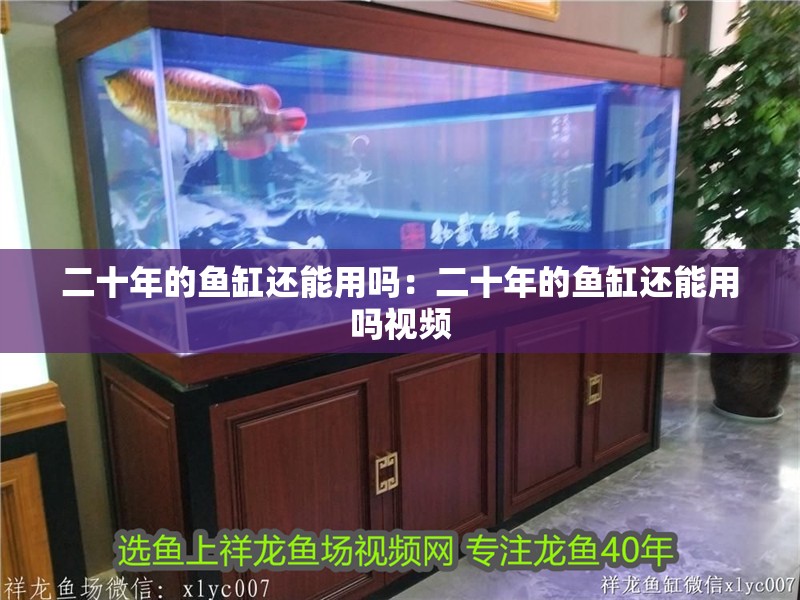 二十年的魚缸還能用嗎：二十年的魚缸還能用嗎視頻