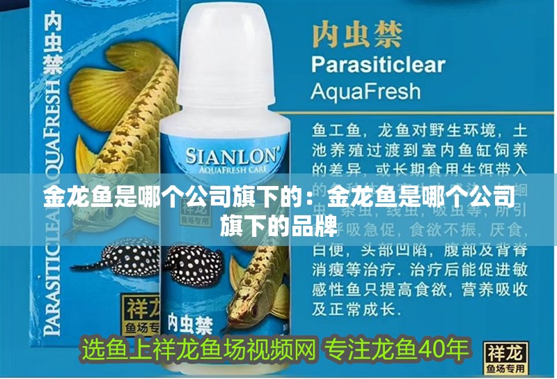 金龍魚是哪個(gè)公司旗下的：金龍魚是哪個(gè)公司旗下的品牌