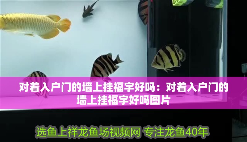 對著入戶門的墻上掛福字好嗎：對著入戶門的墻上掛福字好嗎圖片