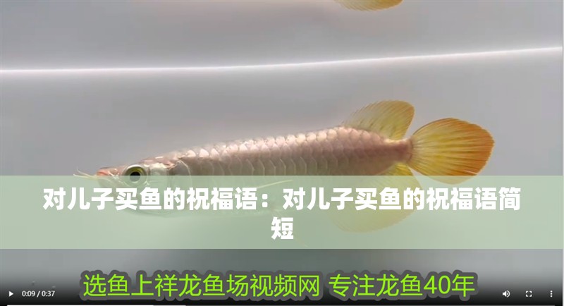 對兒子買魚的祝福語：對兒子買魚的祝福語簡短 對兒子買魚的祝福語：對兒子買魚的祝福語簡短 龍魚百科 第2張