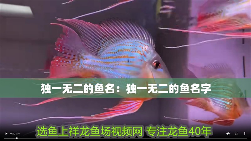 獨一無二的魚名：獨一無二的魚名字