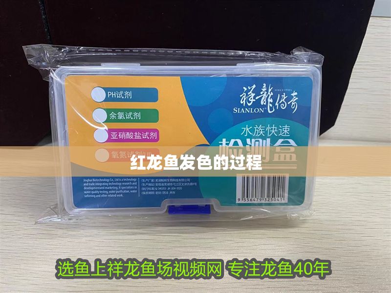 紅龍魚發色的過程