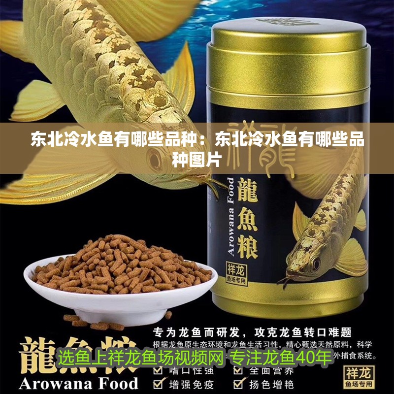東北冷水魚有哪些品種：東北冷水魚有哪些品種圖片 東北冷水魚有哪些品種：東北冷水魚有哪些品種圖片 龍魚百科 第1張