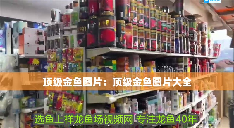 頂級金魚圖片：頂級金魚圖片大全