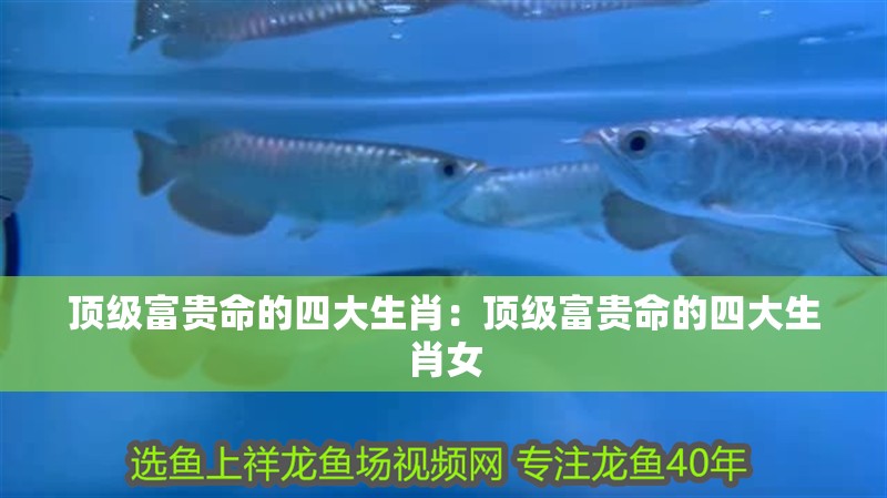 頂級富貴命的四大生肖：頂級富貴命的四大生肖女
