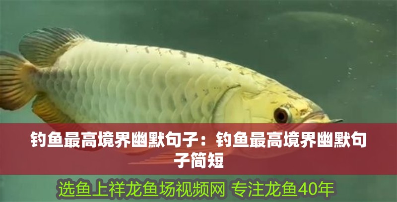 釣魚最高境界幽默句子：釣魚最高境界幽默句子簡短 釣魚最高境界幽默句子：釣魚最高境界幽默句子簡短 龍魚百科 第2張