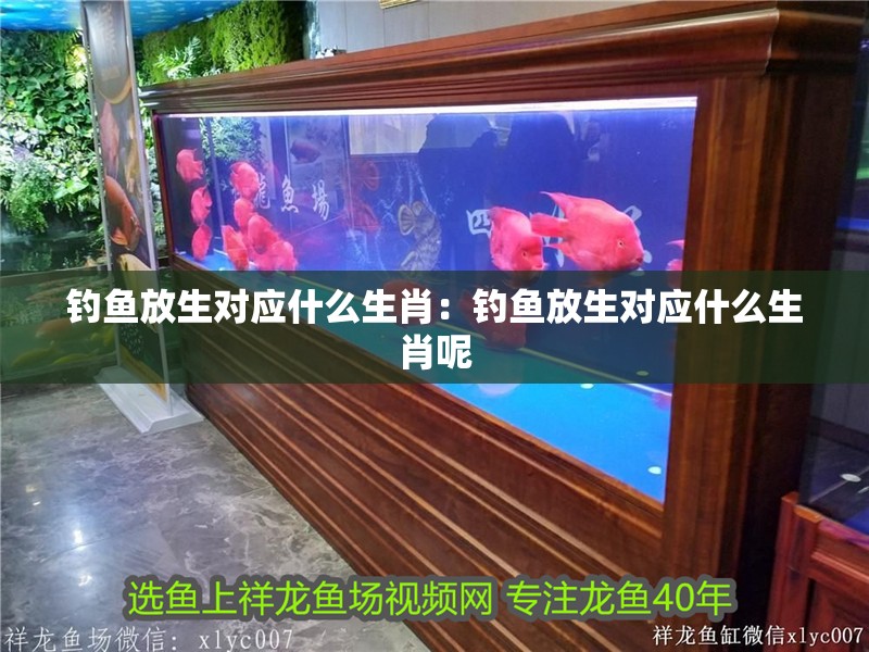 釣魚放生對應什么生肖：釣魚放生對應什么生肖呢
