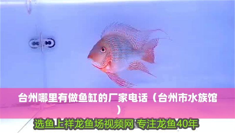 臺(tái)州哪里有做魚(yú)缸的廠家電話（臺(tái)州市水族館）