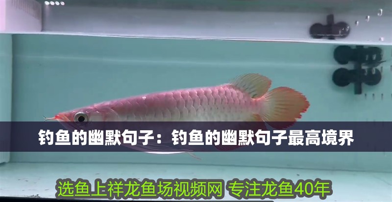 釣魚的幽默句子：釣魚的幽默句子最高境界