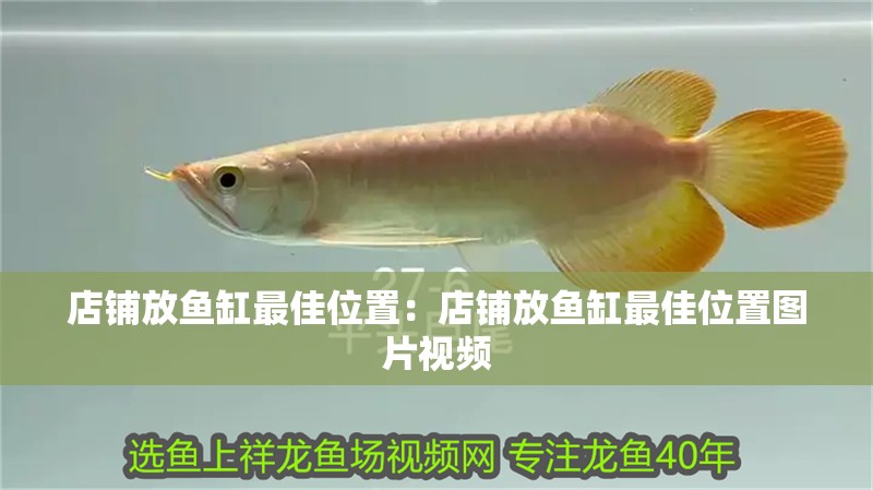 店鋪放魚缸最佳位置：店鋪放魚缸最佳位置圖片視頻 店鋪放魚缸最佳位置：店鋪放魚缸最佳位置圖片視頻 龍魚百科 第1張