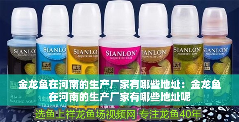 金龍魚(yú)在河南的生產(chǎn)廠家有哪些地址：金龍魚(yú)在河南的生產(chǎn)廠家有哪些地址呢 金龍魚(yú)在河南的生產(chǎn)廠家有哪些地址：金龍魚(yú)在河南的生產(chǎn)廠家有哪些地址呢 水族問(wèn)答