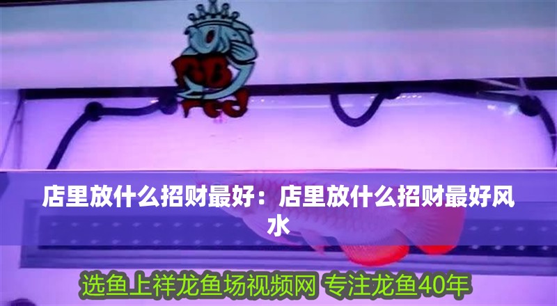 店里放什么招財最好：店里放什么招財最好風水