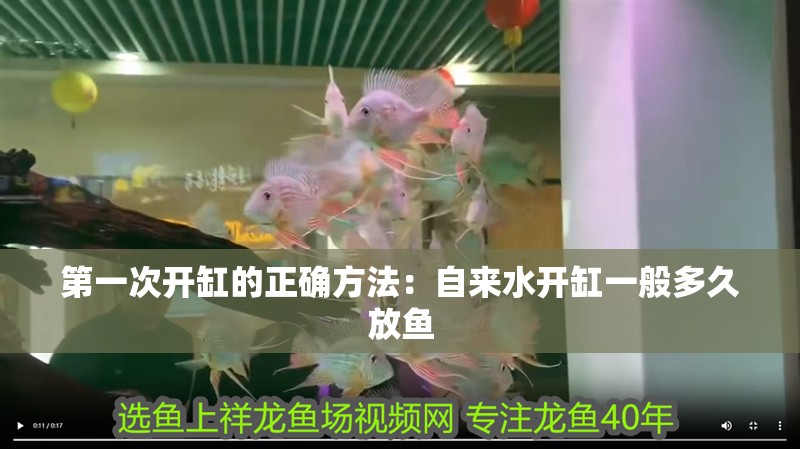第一次開缸的正確方法：自來水開缸一般多久放魚