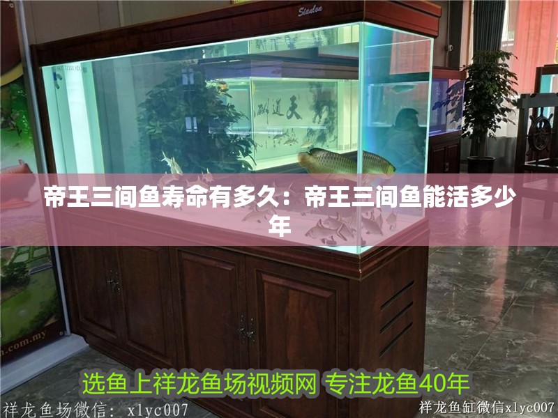 帝王三間魚壽命有多久：帝王三間魚能活多少年