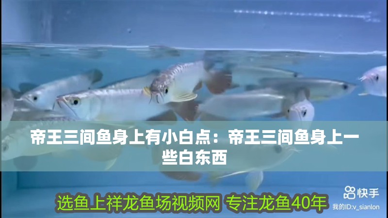 帝王三間魚身上有小白點(diǎn)：帝王三間魚身上一些白東西