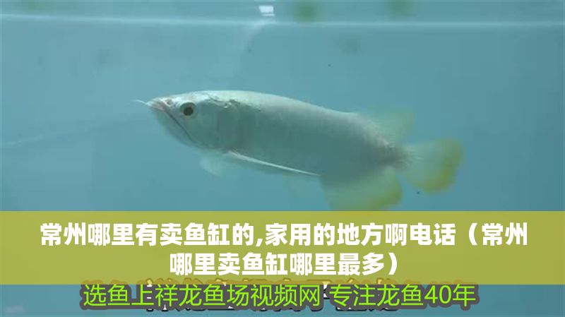 常州哪里有賣魚缸的,家用的地方啊電話(常州哪里賣魚缸哪里最多) 龍魚百科 第1張 常州哪里有賣魚缸的,家用的地方啊電話(常州哪里賣魚缸哪里最多) 常州哪里有賣魚缸的,家用的地方啊電話(常州哪里賣魚缸哪里最多) 龍魚百科 第1張