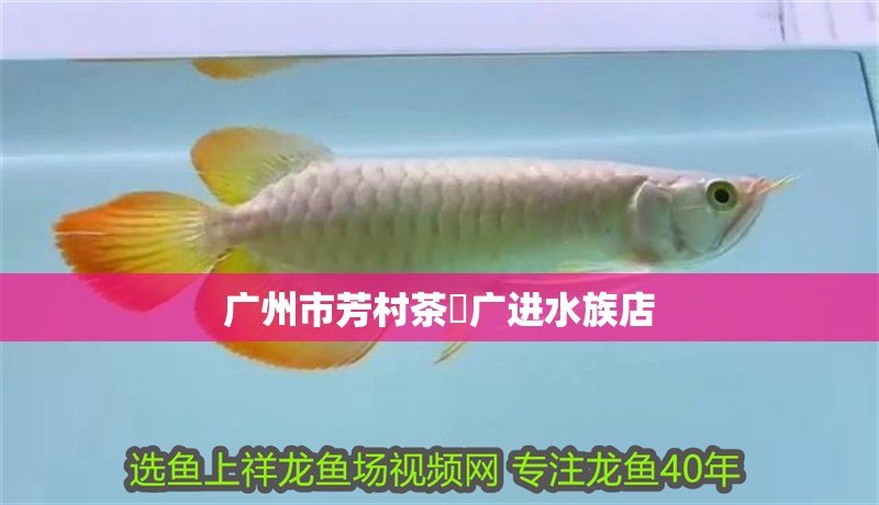 廣州市芳村茶廣進(jìn)水族店