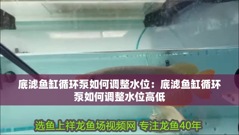 底濾魚缸循環泵如何調整水位：底濾魚缸循環泵如何調整水位高低