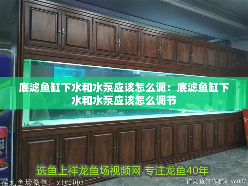 底濾魚缸下水和水泵應(yīng)該怎么調(diào)：底濾魚缸下水和水泵應(yīng)該怎么調(diào)節(jié)