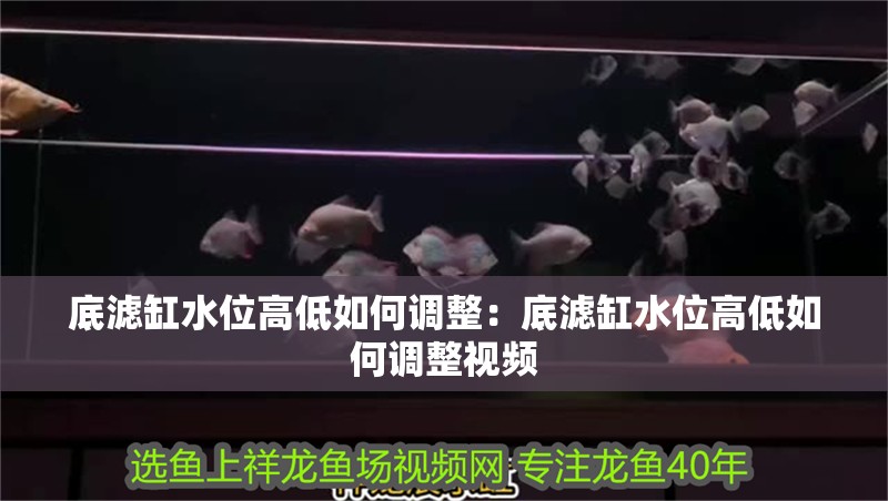 底濾缸水位高低如何調(diào)整：底濾缸水位高低如何調(diào)整視頻