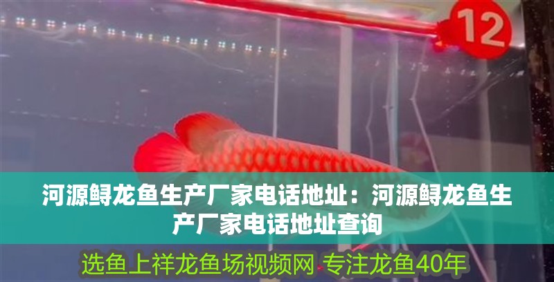 河源鱘龍魚生產廠家電話地址：河源鱘龍魚生產廠家電話地址查詢 河源鱘龍魚生產廠家電話地址：河源鱘龍魚生產廠家電話地址查詢 水族問答