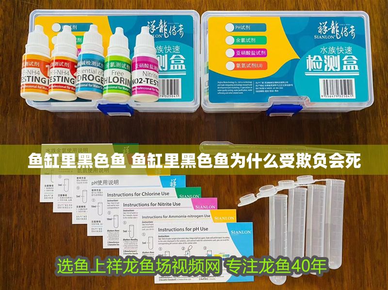 魚缸里黑色魚 魚缸里黑色魚為什么受欺負會死