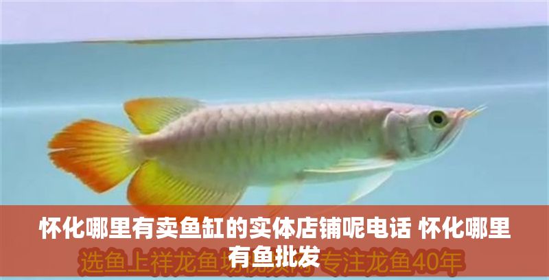 懷化哪里有賣魚缸的實體店鋪呢電話 懷化哪里有魚批發 懷化哪里有賣魚缸的實體店鋪呢電話 懷化哪里有魚批發 龍魚百科 第1張
