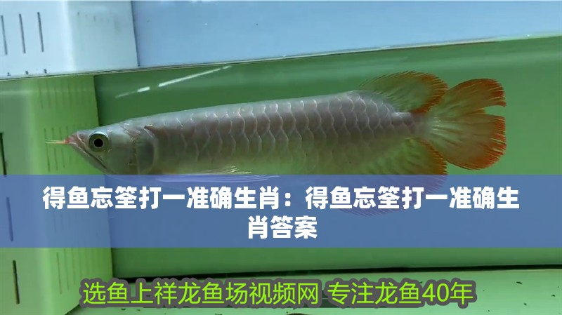 得魚忘筌打一準確生肖：得魚忘筌打一準確生肖答案