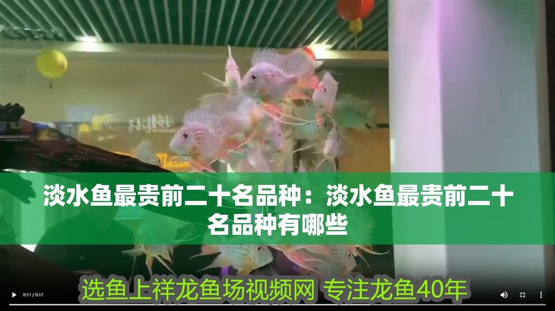 淡水魚最貴前二十名品種：淡水魚最貴前二十名品種有哪些