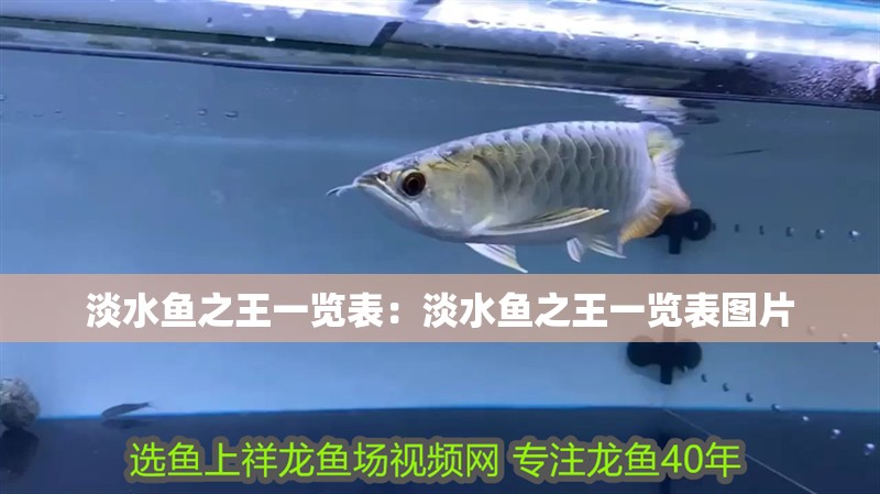 淡水魚之王一覽表：淡水魚之王一覽表圖片