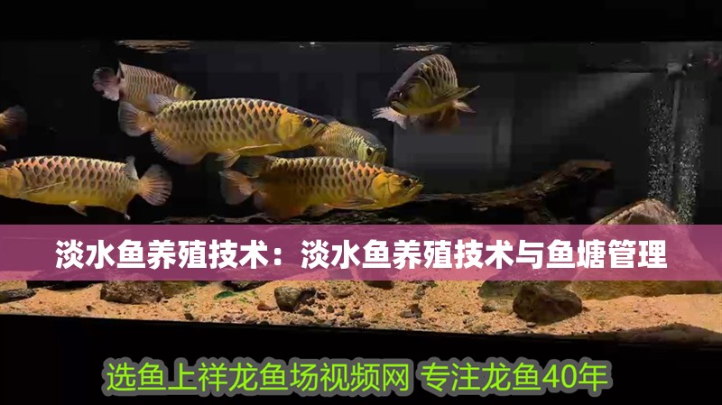 淡水魚養(yǎng)殖技術(shù)：淡水魚養(yǎng)殖技術(shù)與魚塘管理 淡水魚養(yǎng)殖技術(shù)：淡水魚養(yǎng)殖技術(shù)與魚塘管理 龍魚百科 第2張