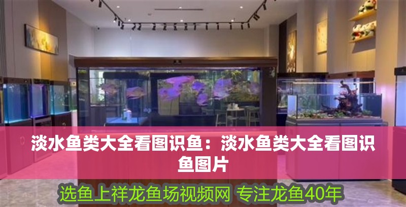 淡水魚類大全看圖識魚：淡水魚類大全看圖識魚圖片