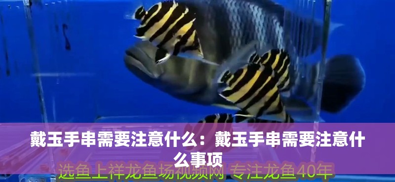 戴玉手串需要注意什么：戴玉手串需要注意什么事項