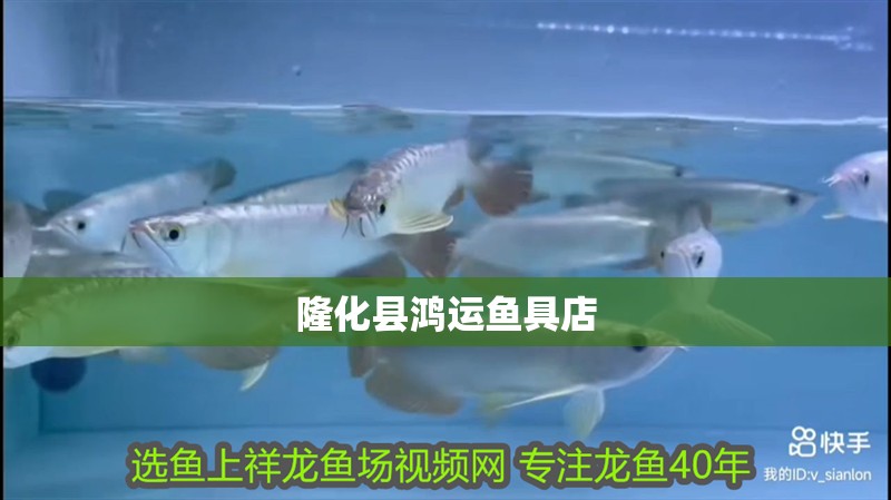隆化縣鴻運魚具店 全國水族館企業(yè)名錄 第2張 隆化縣鴻運魚具店 隆化縣鴻運魚具店 全國水族館企業(yè)名錄 第2張