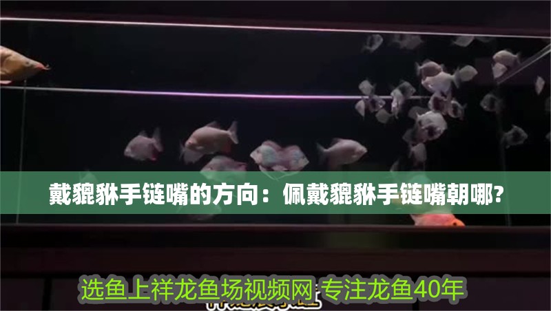 戴貔貅手鏈嘴的方向：佩戴貔貅手鏈嘴朝哪?