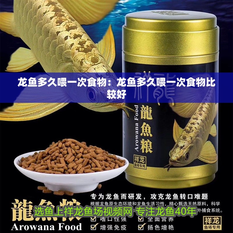龍魚(yú)多久喂一次食物：龍魚(yú)多久喂一次食物比較好