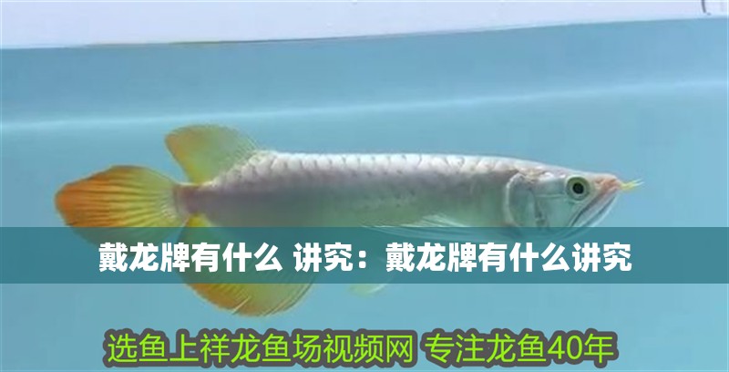 戴龍牌有什么 講究:戴龍牌有什么講究 龍魚百科 第3張 戴龍牌有什么 講究:戴龍牌有什么講究 戴龍牌有什么 講究:戴龍牌有什么講究 龍魚百科 第3張