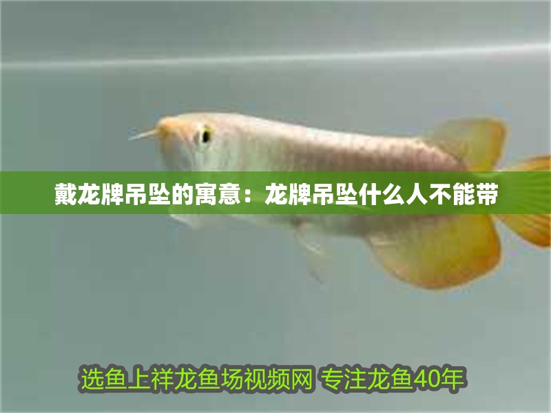 戴龍牌吊墜的寓意:龍牌吊墜什么人不能帶 龍魚百科 第2張 戴龍牌吊墜的寓意:龍牌吊墜什么人不能帶 戴龍牌吊墜的寓意:龍牌吊墜什么人不能帶 龍魚百科 第2張