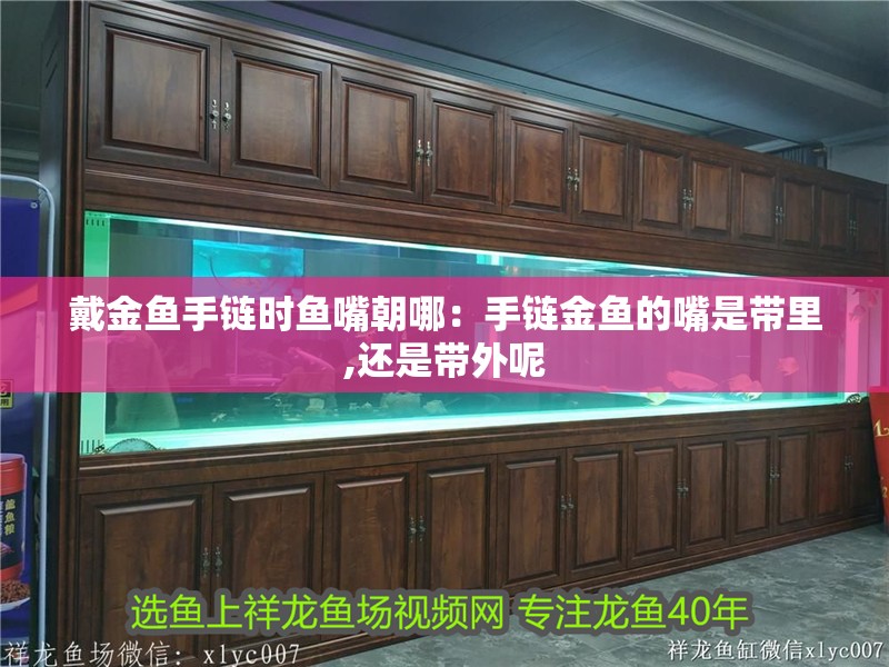 戴金魚手鏈時魚嘴朝哪：手鏈金魚的嘴是帶里,還是帶外呢 戴金魚手鏈時魚嘴朝哪：手鏈金魚的嘴是帶里,還是帶外呢 龍魚百科 第2張