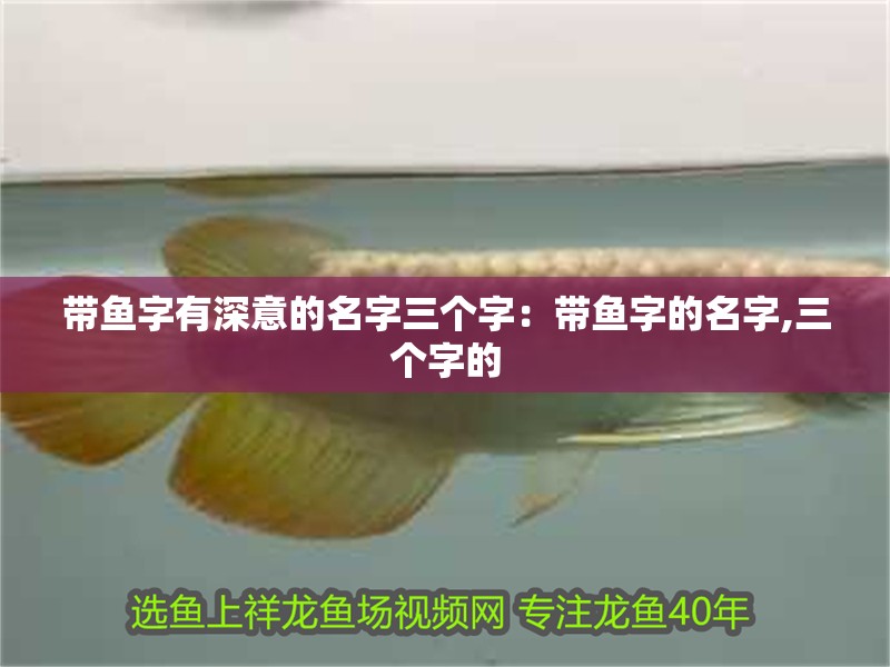 帶魚字有深意的名字三個字：帶魚字的名字,三個字的