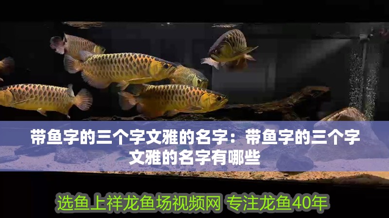 帶魚字的三個字文雅的名字：帶魚字的三個字文雅的名字有哪些