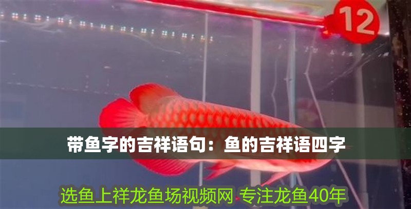 帶魚字的吉祥語句:魚的吉祥語四字 龍魚百科 第1張 帶魚字的吉祥語句:魚的吉祥語四字 帶魚字的吉祥語句:魚的吉祥語四字 龍魚百科 第1張