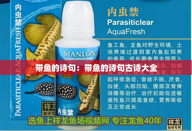 帶魚的詩句：帶魚的詩句古詩大全