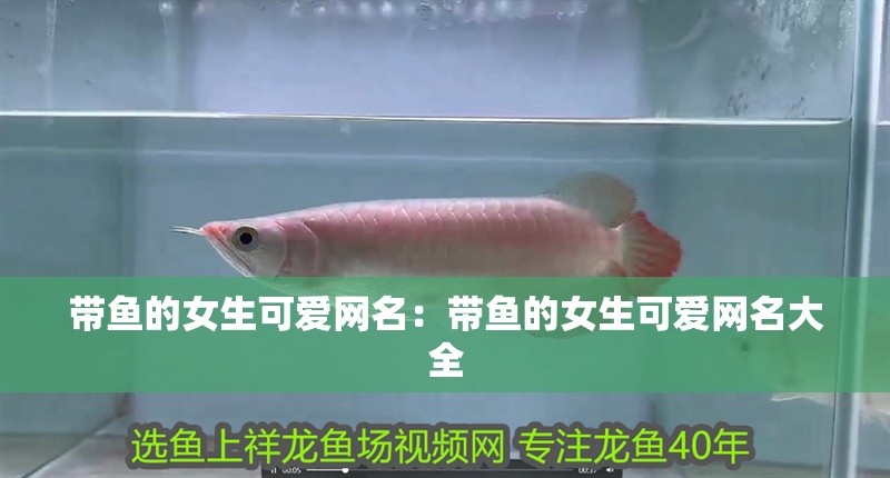 帶魚(yú)的女生可愛(ài)網(wǎng)名:帶魚(yú)的女生可愛(ài)網(wǎng)名大全 龍魚(yú)百科 第2張 帶魚(yú)的女生可愛(ài)網(wǎng)名:帶魚(yú)的女生可愛(ài)網(wǎng)名大全 帶魚(yú)的女生可愛(ài)網(wǎng)名:帶魚(yú)的女生可愛(ài)網(wǎng)名大全 龍魚(yú)百科 第2張