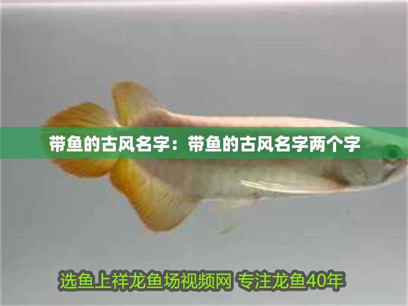 帶魚的古風名字：帶魚的古風名字兩個字