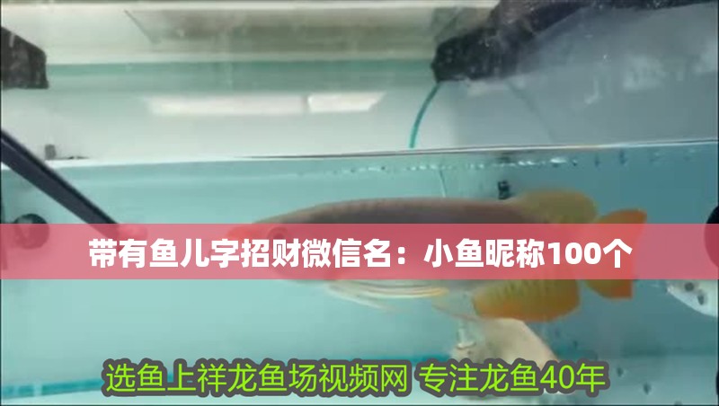 帶有魚兒字招財微信名：小魚昵稱100個 帶有魚兒字招財微信名：小魚昵稱100個 龍魚百科 第2張