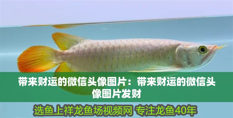 帶來財運的微信頭像圖片：帶來財運的微信頭像圖片發財