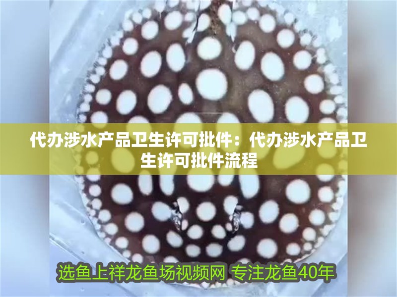 代辦涉水產(chǎn)品衛(wèi)生許可批件：代辦涉水產(chǎn)品衛(wèi)生許可批件流程